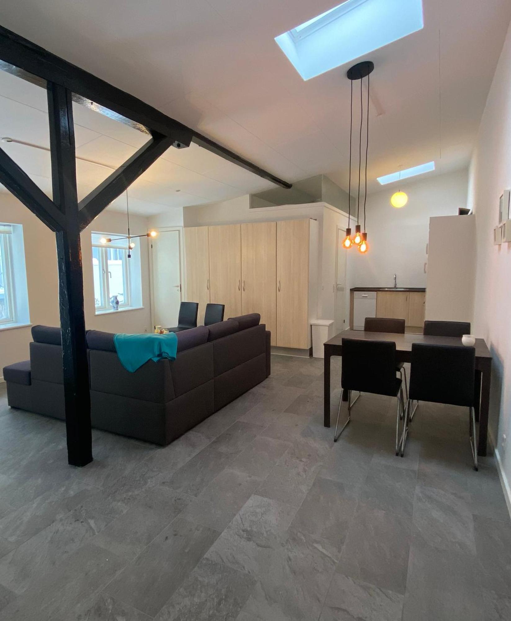 Charming - Luxurious 1 Bedroom Apartment In The Heart Of Aalborg Exterior foto